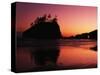 View of Second Beach, Olympic National Park, Washington State, USA-Stuart Westmorland-Stretched Canvas