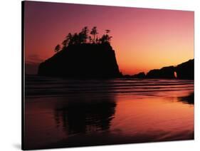 View of Second Beach, Olympic National Park, Washington State, USA-Stuart Westmorland-Stretched Canvas