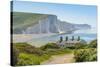 View of Seven Sisters Chalk Cliffs and Coastguard Cottages at Cuckmere Haven-Frank Fell-Stretched Canvas