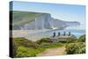 View of Seven Sisters Chalk Cliffs and Coastguard Cottages at Cuckmere Haven-Frank Fell-Stretched Canvas