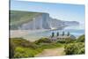 View of Seven Sisters Chalk Cliffs and Coastguard Cottages at Cuckmere Haven-Frank Fell-Stretched Canvas