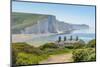 View of Seven Sisters Chalk Cliffs and Coastguard Cottages at Cuckmere Haven-Frank Fell-Mounted Premium Photographic Print