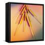 View of Several Acupuncture Needles-Tek Image-Framed Stretched Canvas