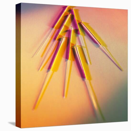 View of Several Acupuncture Needles-Tek Image-Stretched Canvas
