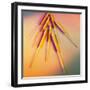 View of Several Acupuncture Needles-Tek Image-Framed Premium Photographic Print