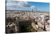 View of Seville from Giralda Bell Tower, Seville, Andalucia, Spain-Carlo Morucchio-Stretched Canvas