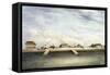 View of Shanghai, China-null-Framed Stretched Canvas