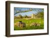 View of sheep and spring lambs in Elmton Village, Bolsover, Chesterfield, Derbyshire, England-Frank Fell-Framed Photographic Print