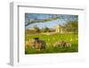 View of sheep and spring lambs in Elmton Village, Bolsover, Chesterfield, Derbyshire, England-Frank Fell-Framed Photographic Print