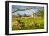 View of sheep and spring lambs in Elmton Village, Bolsover, Chesterfield, Derbyshire, England-Frank Fell-Framed Photographic Print