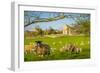 View of sheep and spring lambs in Elmton Village, Bolsover, Chesterfield, Derbyshire, England-Frank Fell-Framed Photographic Print