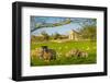 View of sheep and spring lambs in Elmton Village, Bolsover, Chesterfield, Derbyshire, England-Frank Fell-Framed Premium Photographic Print