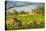View of sheep and spring lambs in Elmton Village, Bolsover, Chesterfield, Derbyshire, England-Frank Fell-Stretched Canvas