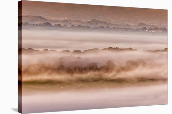 View of sheep flock grazing on pasture in mist at sunrise, Cobblers Plain, Monmouthshire-Allen Lloyd-Stretched Canvas