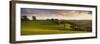 View of Sheep Grazing in a Field, Bickleigh, Mid Devon, Devon, England-null-Framed Photographic Print