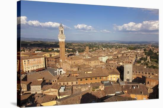 View of Siena Palazzo Publico and Piazza Del Campo, Siena, Tuscany, Italy, Europe-Simon Montgomery-Stretched Canvas