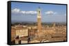 View of Siena Palazzo Publico and Piazza Del Campo, Siena, Tuscany, Italy, Europe-Simon Montgomery-Framed Stretched Canvas