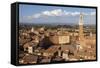 View of Siena Palazzo Publico and Piazza Del Campo, Siena, Tuscany, Italy, Europe-Simon Montgomery-Framed Stretched Canvas