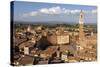 View of Siena Palazzo Publico and Piazza Del Campo, Siena, Tuscany, Italy, Europe-Simon Montgomery-Stretched Canvas