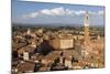 View of Siena Palazzo Publico and Piazza Del Campo, Siena, Tuscany, Italy, Europe-Simon Montgomery-Mounted Photographic Print
