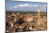 View of Siena Palazzo Publico and Piazza Del Campo, Siena, Tuscany, Italy, Europe-Simon Montgomery-Mounted Premium Photographic Print