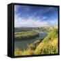 View of Sigatoka River, Sigatoka, Viti Levu, Fiji-Ian Trower-Framed Stretched Canvas