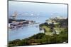 View of Singapore from Carlsberg Tower in Sentosa, Singapore, Southeast Asia, Asia-Balan Madhavan-Mounted Photographic Print