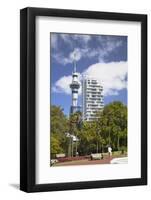 View of Sky Tower from Albert Park, Auckland, North Island, New Zealand, Pacific-Ian-Framed Photographic Print