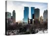 View of Skyscrapers from Central Park in Winter - Manhattan - New York City - United States - USA-Philippe Hugonnard-Stretched Canvas