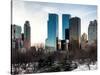 View of Skyscrapers from Central Park in Winter - Manhattan - New York City - United States - USA-Philippe Hugonnard-Stretched Canvas