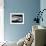 View of Sleek Airplane-null-Framed Photographic Print displayed on a wall