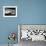 View of Sleek Airplane-null-Framed Photographic Print displayed on a wall