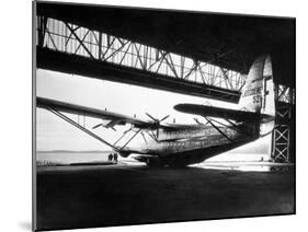 View of Sleek Airplane-null-Mounted Photographic Print