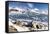 View of Snaefellsjokull glacier,National Park,southern Iceland,Europe-ClickAlps-Framed Stretched Canvas