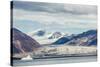 View of Snow-Capped Mountains from Cape Hay, Bylot Island, Nunavut, Canada, North America-Michael Nolan-Stretched Canvas