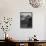 View Of Snow-Capped Mt Timbered Area Below "In Rocky Mountain National Park" Colorado 1933-1942-Ansel Adams-Framed Stretched Canvas displayed on a wall