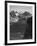 View Of Snow-Capped Mt Timbered Area Below "In Rocky Mountain National Park" Colorado 1933-1942-Ansel Adams-Framed Art Print