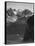 View Of Snow-Capped Mt Timbered Area Below "In Rocky Mountain National Park" Colorado 1933-1942-Ansel Adams-Framed Stretched Canvas