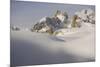View of snow covered mountain range, Pale di San Martino, Dolomites, Italian Alps-Fabio Pupin-Mounted Photographic Print