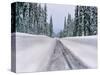 View of snow covered road, Willamette National Forest, Linn County, Oregon, USA-null-Stretched Canvas