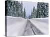 View of snow covered road, Willamette National Forest, Linn County, Oregon, USA-null-Stretched Canvas