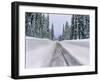 View of snow covered road, Willamette National Forest, Linn County, Oregon, USA-null-Framed Photographic Print