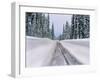 View of snow covered road, Willamette National Forest, Linn County, Oregon, USA-null-Framed Photographic Print