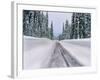 View of snow covered road, Willamette National Forest, Linn County, Oregon, USA-null-Framed Photographic Print