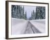 View of snow covered road, Willamette National Forest, Linn County, Oregon, USA-null-Framed Photographic Print