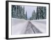 View of snow covered road, Willamette National Forest, Linn County, Oregon, USA-null-Framed Photographic Print