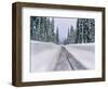 View of snow covered road, Willamette National Forest, Linn County, Oregon, USA-null-Framed Photographic Print