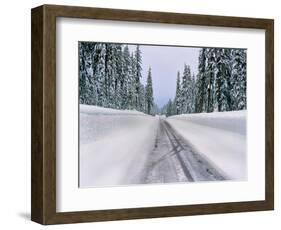 View of snow covered road, Willamette National Forest, Linn County, Oregon, USA-null-Framed Photographic Print