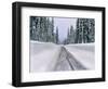 View of snow covered road, Willamette National Forest, Linn County, Oregon, USA-null-Framed Photographic Print