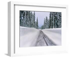 View of snow covered road, Willamette National Forest, Linn County, Oregon, USA-null-Framed Photographic Print